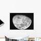 Moon Wall Decal Design 4