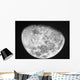 Moon Wall Decal Design 4