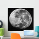 Moon Wall Decal Design 5