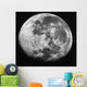 Moon Wall Decal Design 5