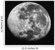 Moon Wall Decal Design 5
