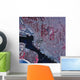 Satellite San Diego California Wall Decal