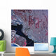 Satellite San Diego California Wall Decal