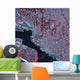 Satellite San Diego California Wall Decal