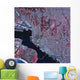 Satellite San Diego California Wall Decal