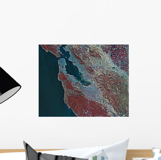 Satellite San Francisco California Wall Decal Design 1