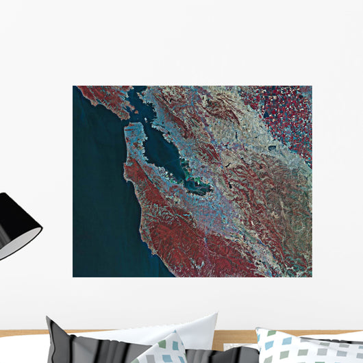 Satellite San Francisco California Wall Decal Design 1