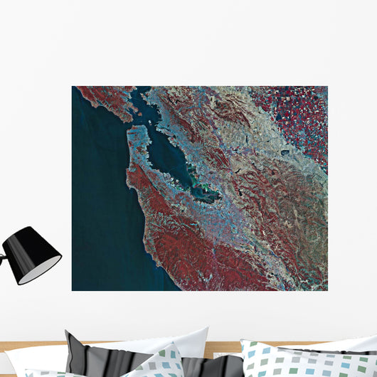 Satellite San Francisco California Wall Decal Design 1