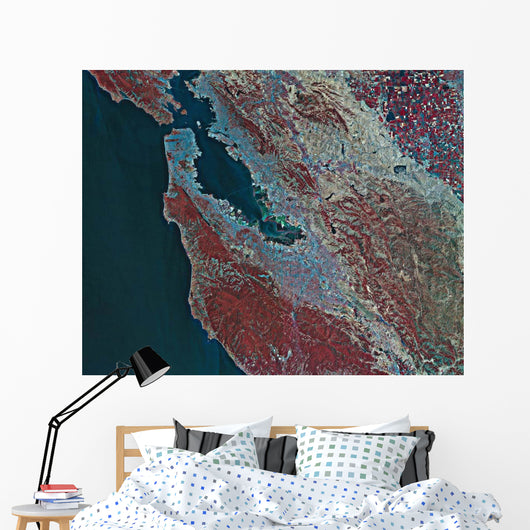 Satellite San Francisco California Wall Decal Design 1