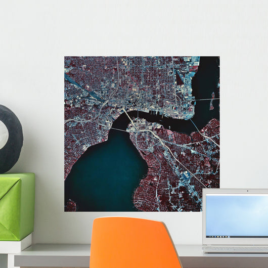Satellite Jacksonville Florida Wall Decal