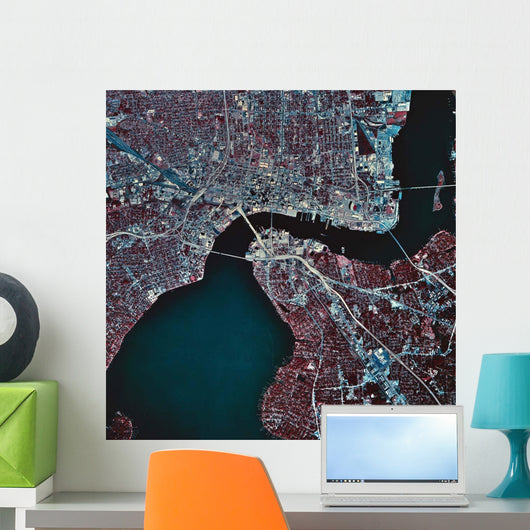 Satellite Jacksonville Florida Wall Decal