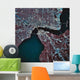 Satellite Jacksonville Florida Wall Decal