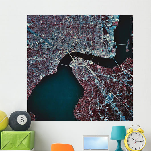 Satellite Jacksonville Florida Wall Decal