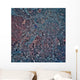 Satellite Atlanta Georgia Wall Decal