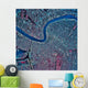 Satellite New Orleans Louisiana Wall Decal