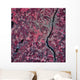 Satellite Augusta Maine Wall Decal