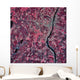 Satellite Augusta Maine Wall Decal