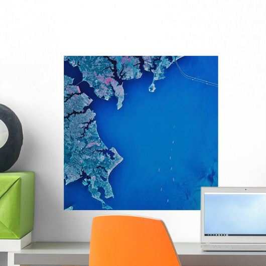 Satellite Chesapeake Bay and Wall Decal