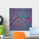 Satellite Lansing Michigan Wall Decal