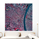 Satellite St Louis Missouri Wall Decal Design 1