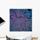 Satellite Omaha Nebraska Wall Decal
