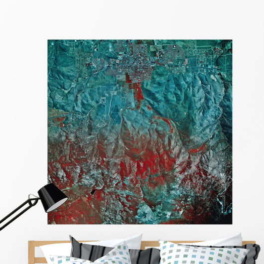 Satellite Carson City Nevada Wall Decal