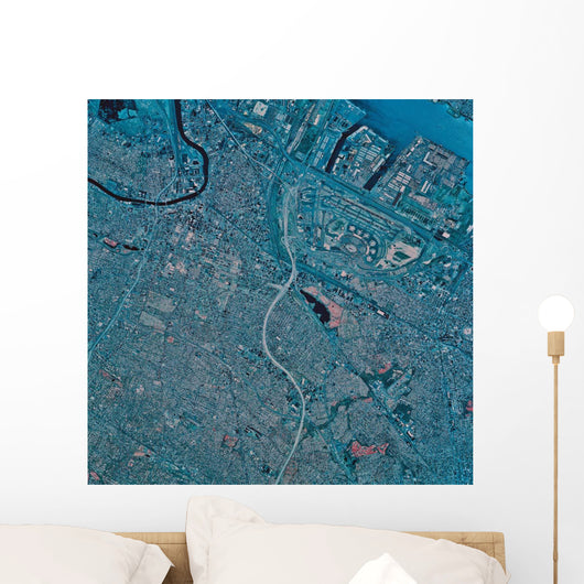 Satellite Newark New Jersey Wall Decal
