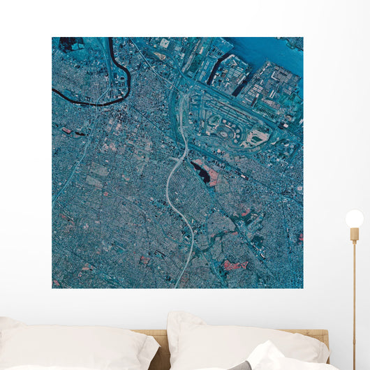 Satellite Newark New Jersey Wall Decal