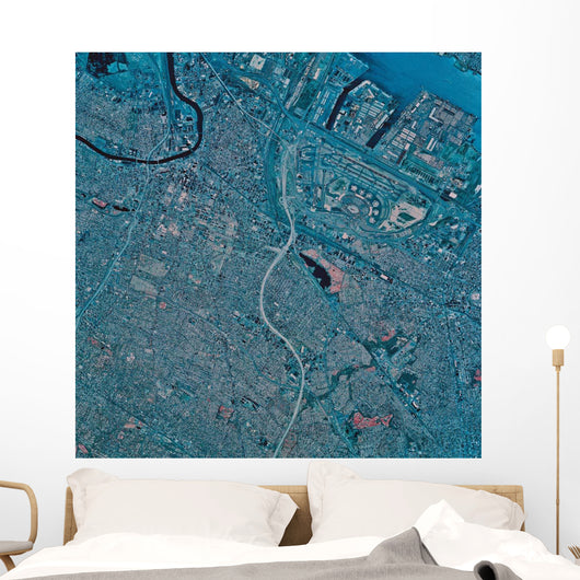 Satellite Newark New Jersey Wall Decal