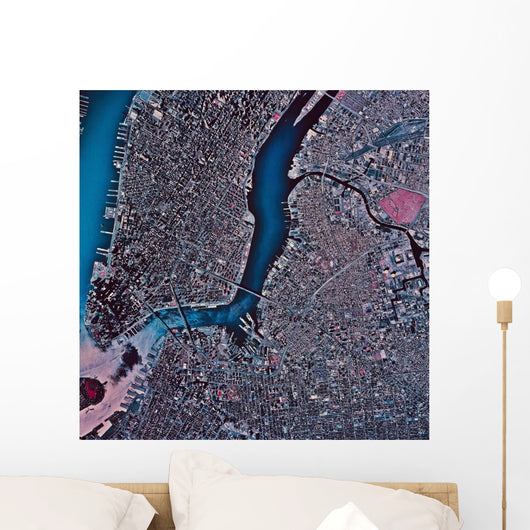 Satellite Manhattan Brooklyn New Wall Decal