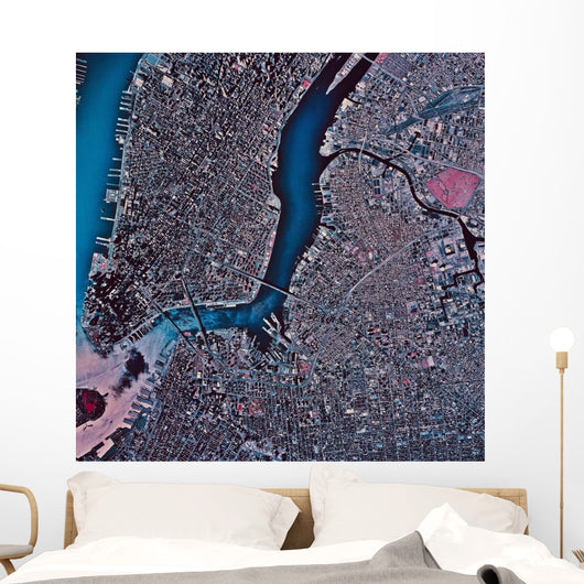 Satellite Manhattan Brooklyn New Wall Decal