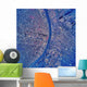Satellite St Louis Missouri Wall Decal Design 2