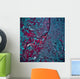 Satellite Salem Oregon Wall Decal