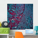 Satellite Salem Oregon Wall Decal