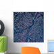 Satellite Columbia South Carolina Wall Decal