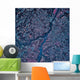 Satellite Columbia South Carolina Wall Decal