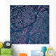 Satellite Columbia South Carolina Wall Decal