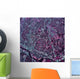 Satellite Austin Texas Wall Decal