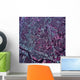 Satellite Austin Texas Wall Decal