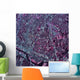 Satellite Austin Texas Wall Decal