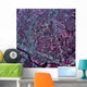 Satellite Austin Texas Wall Decal