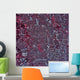 Satellite San Antonio Texas Wall Decal