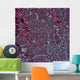 Satellite San Antonio Texas Wall Decal