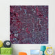 Satellite San Antonio Texas Wall Decal