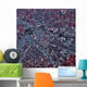 Satellite Houston Texas Wall Decal Design 1