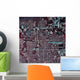 Satellite Houston Texas Wall Decal Design 2