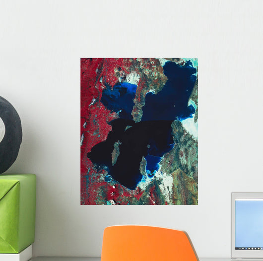 Satellite Image Great Salt Wall Decal