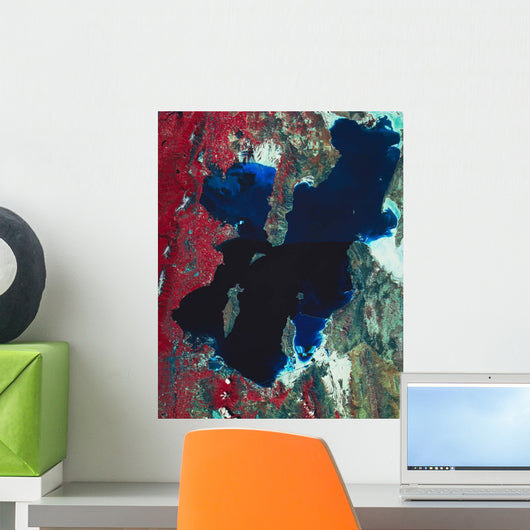 Satellite Image Great Salt Wall Decal