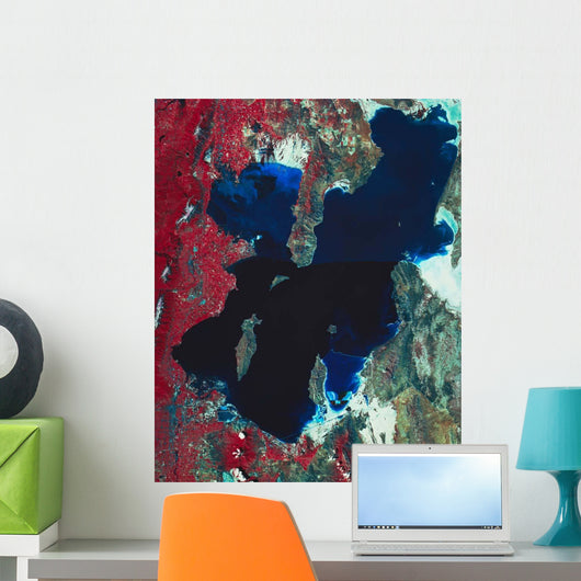 Satellite Image Great Salt Wall Decal