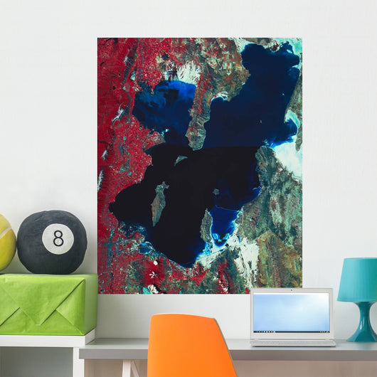Satellite Image Great Salt Wall Decal